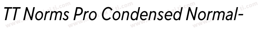 TT Norms Pro Condensed Normal字体转换